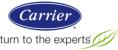 Carrier Dealer Logo Dallas